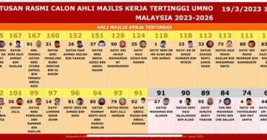 Pemilihan UMNO: Keputusan Penuh Majlis Kerja Tertinggi